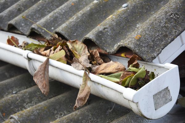 San Diego Gutter Cleaning